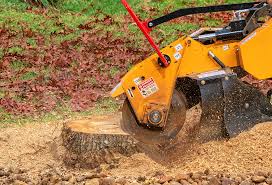 Leaf Removal in Becker, MN